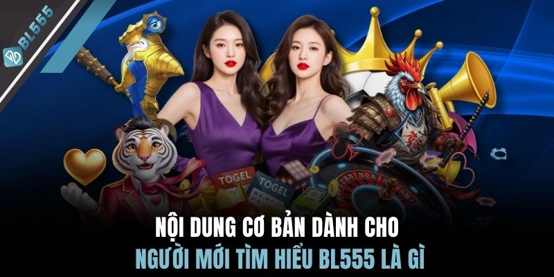 Nội dung cơ bản dành cho người mới tìm hiểu BL555 là gì